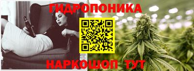 стаф Анжеро-Судженск